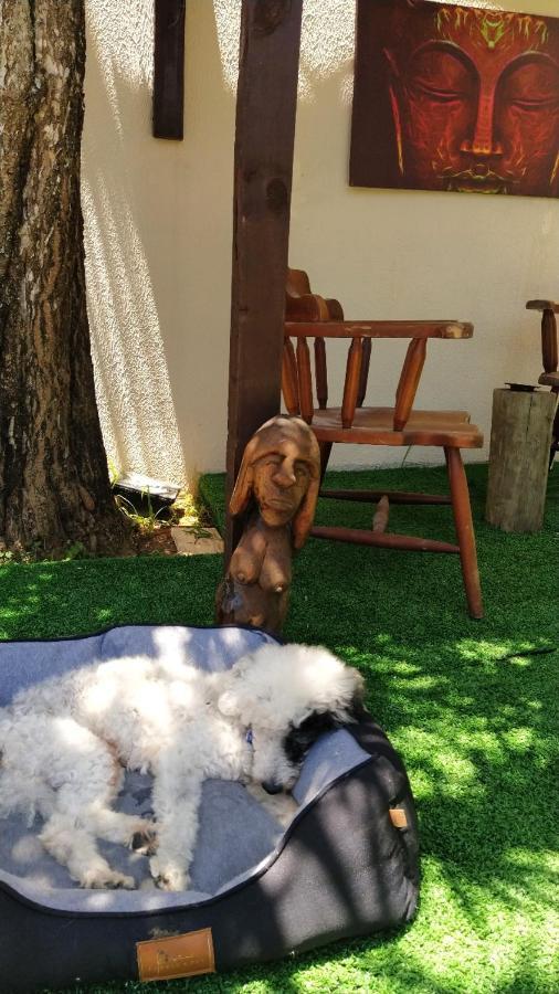 Brava Point Pousada E Hostel Itajaí エクステリア 写真